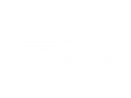 Screen Skills